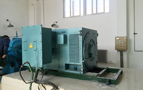 YR5006-10某水电站工程主水泵使用我公司高压电机