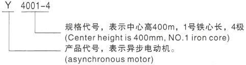 西安泰富西玛Y系列(H355-1000)高压YR5006-10三相异步电机型号说明