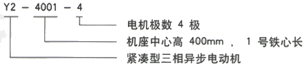 YR系列(H355-1000)高压YR5006-10三相异步电机西安西玛电机型号说明